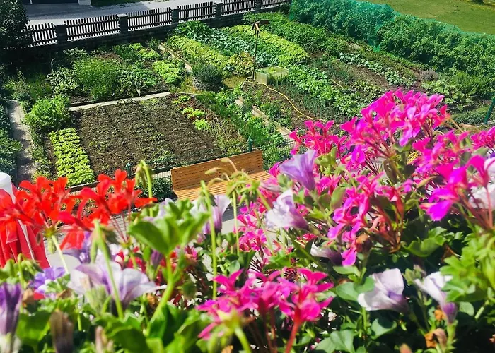 Fichtenheim Gasthuis 3*